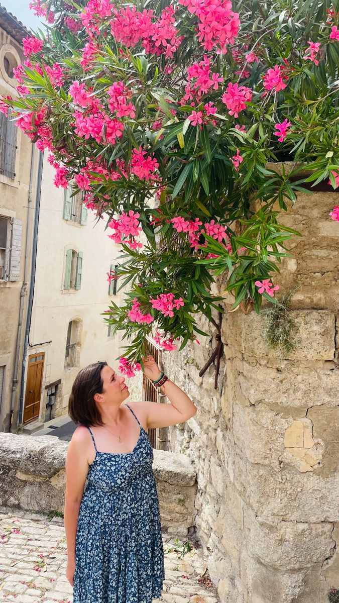 Provence retreat moment